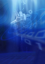 �����������ƺ�