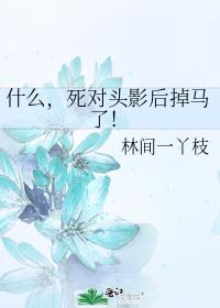 ʲô������ͷӰ������ˣ�