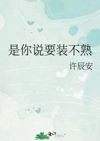 ����˵Ҫװ����