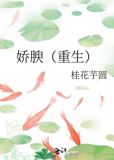 ���飨������