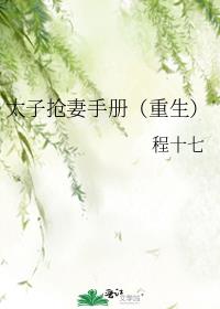 ̫�������ֲᣨ������