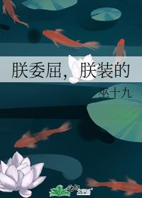 ��ί������װ��