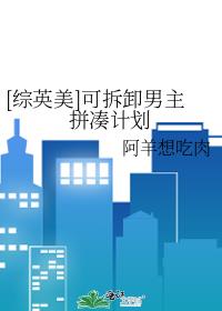 [��Ӣ��]�ɲ�ж����ƴ�ռƻ�